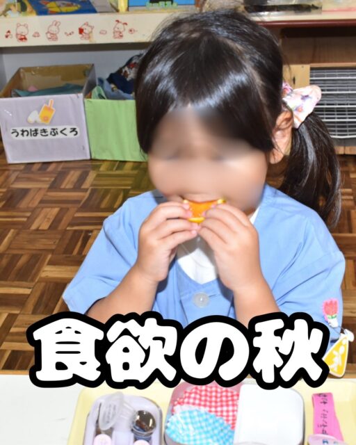 秋の畑は、おいしいものがいっぱい！ 🍠
子どもたちは、収穫したり、香りを楽しんだり、実際に味わったりしながら、秋の実りを楽しんでいます😊🍂

1枚目　みかんを食べています🍊
2枚目　上:柿の収穫　下:柿の香りをクンクン♪
3枚目　収穫したものを味見！
4枚目　さつまいもの試し掘り
5枚目　お弁当の時間に、みんなで柿とみかんをいただきました！
6枚目　ブロッコリーの苗
実は、9月頃に植えたブロッコリーの苗が、何者かに食べられてしまいました😳💦
おそらく犯人は鳥……？🐦
そこで、もう一度苗を植え直し、ネットをかけて対策しました！🌱✨
無事に大きく育ってくれたら、3学期にはみんなで食べられるかな？楽しみですね😊💚

「小菅ヶ谷幼稚園の食育」

当園では、年間を通して食育に取り組んでいます。
自分たちで植え、育て、収穫し、食べる。
この一連の経験には、さまざまなねらいがあります。

🌿 食べ物への興味や関心を育む
🍅 自分で育てたものを食べる喜びを感じる
😋 たくさん食べたり、おいしく味わったりする満足感を得る
🤝 仲間と一緒に食べる楽しさを知る
💪 食べられたという経験を自信につなげ、様々なことに挑戦する意欲を育てる
🙏自然の恵みや畑の管理をしている人、調理をしてくれた人への感謝の気持ちを持つ

食べることは、ただお腹を満たすだけではありません。
子どもたちの心の成長にもつながっています🌈

「いつも食べるときは、こんな雰囲気です😊」

「おかわりー！」と言いながら、野菜を配る先生の前にたくさんの子どもたちが列を作ります。食べる子は本当にお腹がパンパンになるまで食べますが、年長になると自然と学ぶのか自分に丁度良い量を調節して食べるようになる子もいます。

沢山食べたい子たちの一方で、食べることがちょっぴり苦手な子もいます。
食に関しては個人差がある領域な為、その姿も受け入れたいなと思っています。

しかし、そんな様子を温かく見守っていると……
周りのお友だちにつられて、「ちょっとだけ食べてみようかな？」という気持ちになるタイミングが来ることがあります🥰
私たちは、その小さな気持ちの変化を大切にしています。

✨「食べてみようかな」と思えたこと
✨ 実際に一口食べてみたこと

まずは、その一つひとつを認めてあげたいと思っています。

食べてみて、おいしかったら「また食べたい！」につながるかもしれません。
反対に、食べてみて「やっぱり苦手だな」と感じることもあるでしょう。

無理に食べさせるのではなく、一人ひとりの気持ちやペースを大切にしながら、食べる楽しさを感じられるようにしています🌷

#小菅ヶ谷幼稚園 #幼稚園 #食育 #食育活動 #秋の自然 畑のある幼稚園 収穫体験 食べる楽しさ 子どもの成長 食べることが好きになる