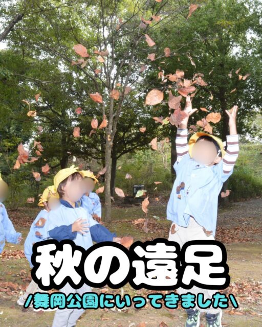 11/23(金)、全園児で舞岡公園へ遠足に行ってきました😊

1枚目　落ち葉シャワー
2枚目　年中長は歩いて舞岡公園までいきました。年少と満3歳はバスに乗り、向かいました。
3枚目　頑張って歩いています(年中長)
4枚目　頑張って歩いています(年少、満3歳)
5枚目　上:どんぐり　下:どんぐり(くぬぎ)の帽子
6枚目　上:木登り　下:落ち葉布団
7枚目　みんなで落ち葉シャワー
8枚目　上:お弁当タイム　下:カカシ
9枚目　帰りは全園児バスで帰りました。

舞岡公園には、秋の自然がいっぱい！
子どもたちは、どんぐりを集めたり、落ち葉シャワーや落ち葉布団で遊んだり、大きな木に登ったり…🍂🌰

全身を使って、秋の自然を思いきり楽しみました！

また、カカシを見たり、田んぼで育つ稲を眺めたりと、普段の園生活ではなかなか触れることのできない、日本の昔ながらの風景や文化にも触れることができました🌾

たくさん歩いて、たくさん遊んだら、そろそろお腹もペコペコ😋
みんなでお弁当を広げて、楽しいお昼ご飯の時間です🍱
おやつも食べて、心もお腹も大満足！

自然の中で、見て、触れて、遊んで…
秋をたっぷり感じることができた一日となりました✨

子どもたちにとって、楽しい思い出がまた一つ増えましたね😊🍁

#舞岡公園 #どんぐり #秋 #自然 #お弁当